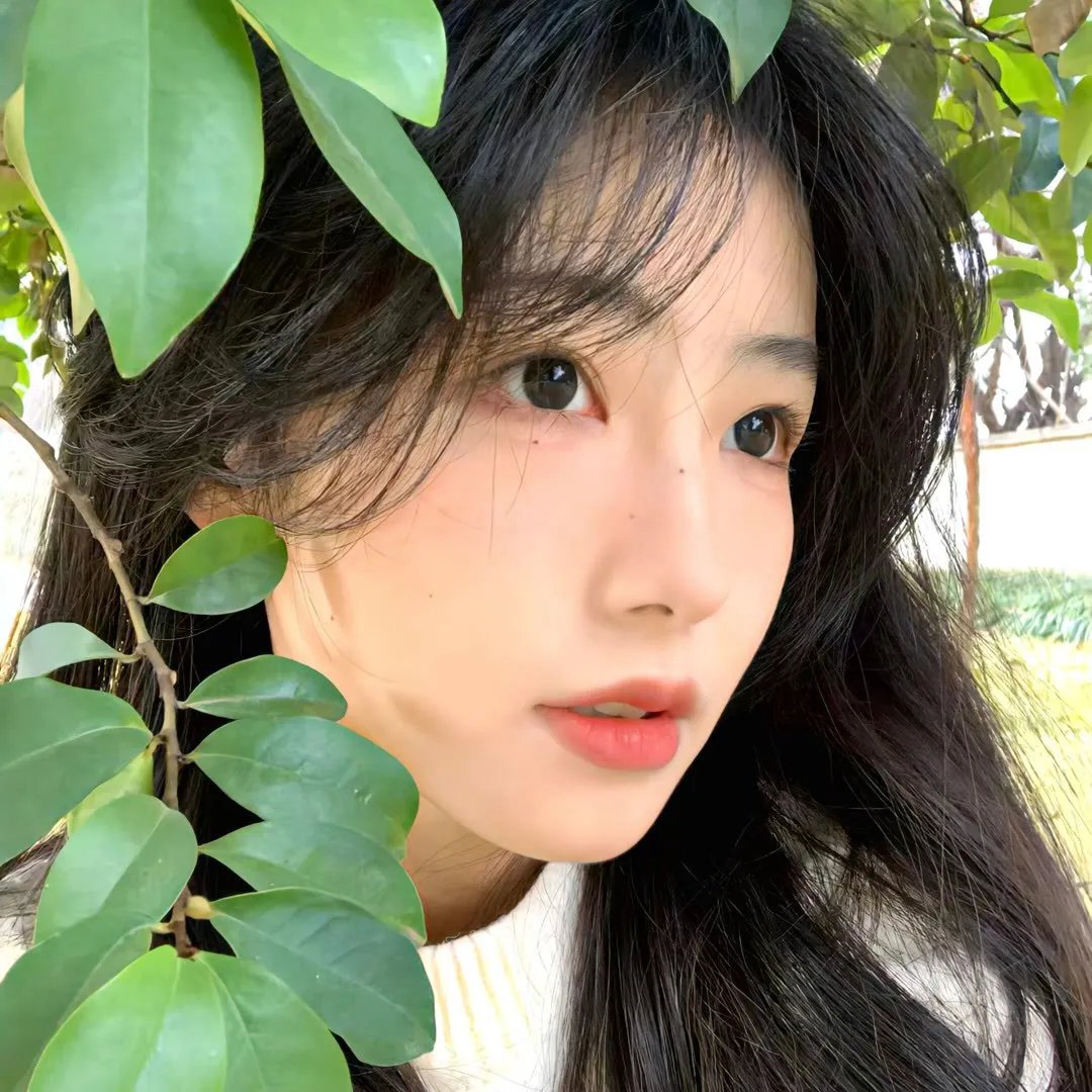 森冤